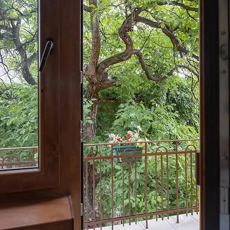 Entire House With Guest & Garden