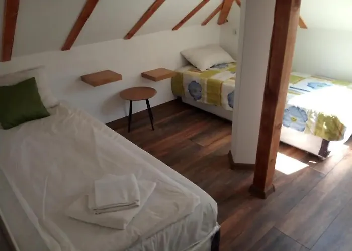 Entire House With Guest & Garden 度假居 索菲亞